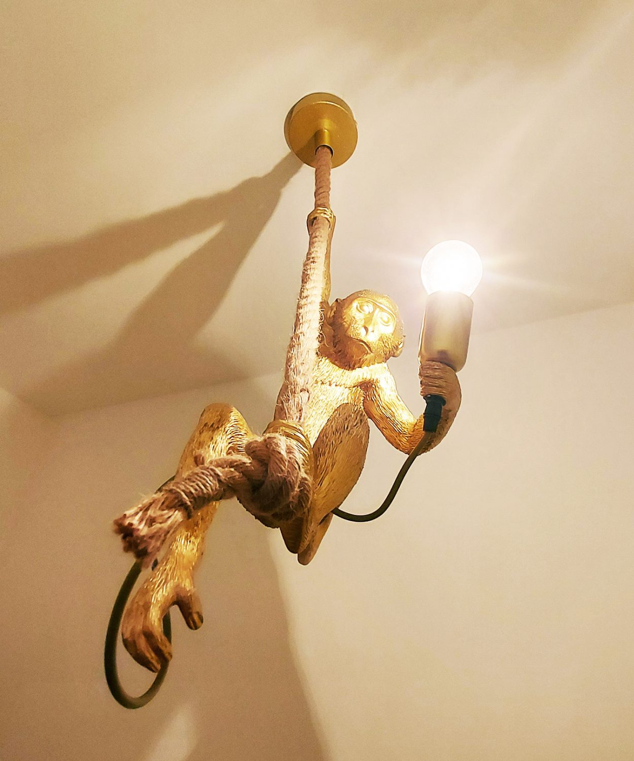 Lampe-1