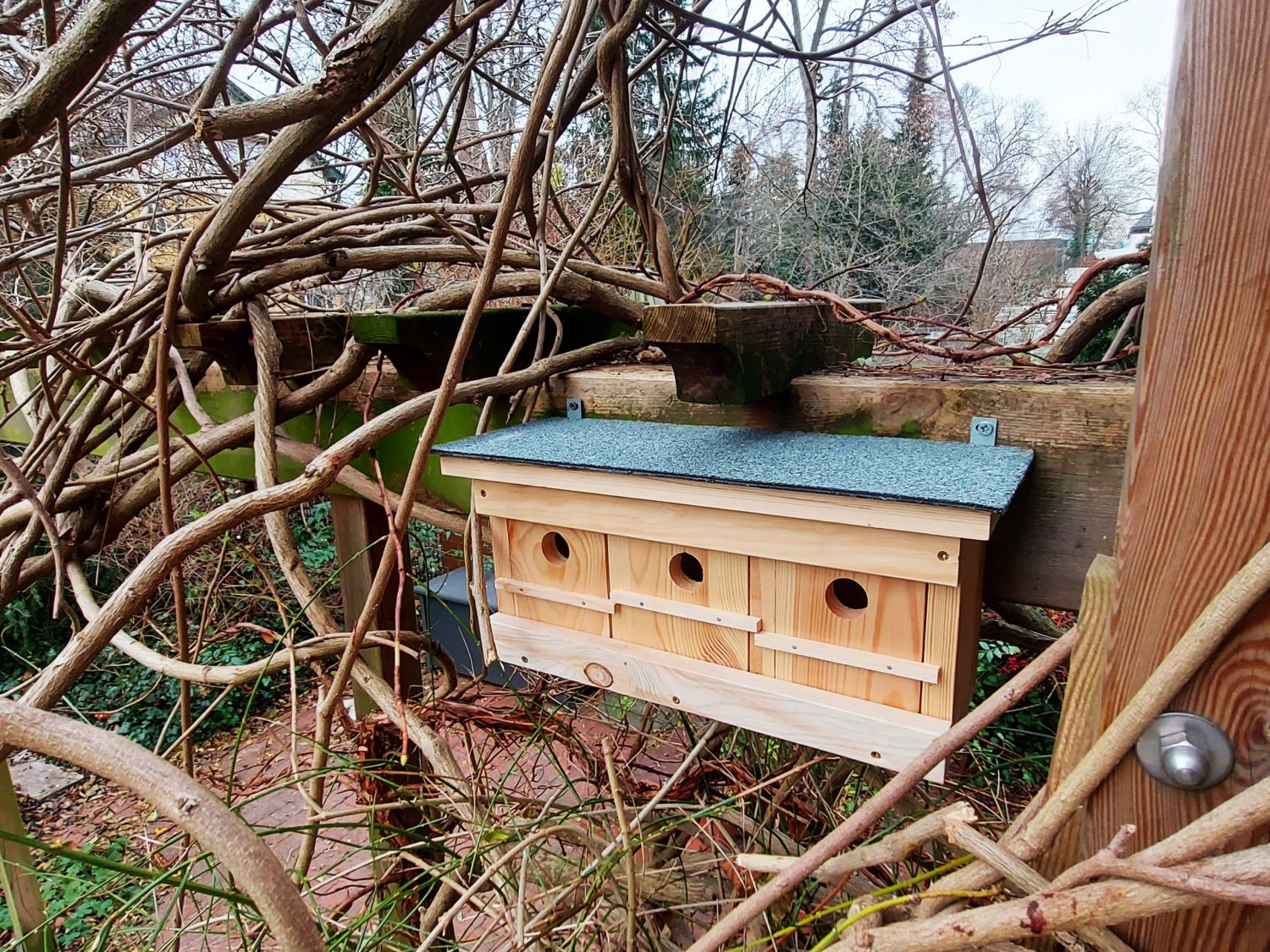 Nistkästen_montage_Berlin Nistkästen_montage_Berlin